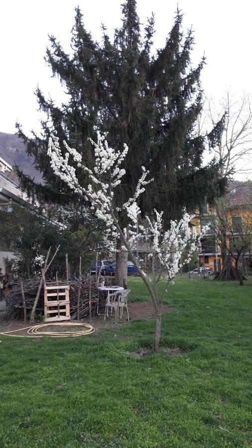 B&B Sun Garden Montoro Inferiore Exterior foto